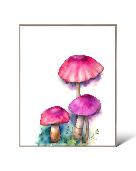 Wonderland