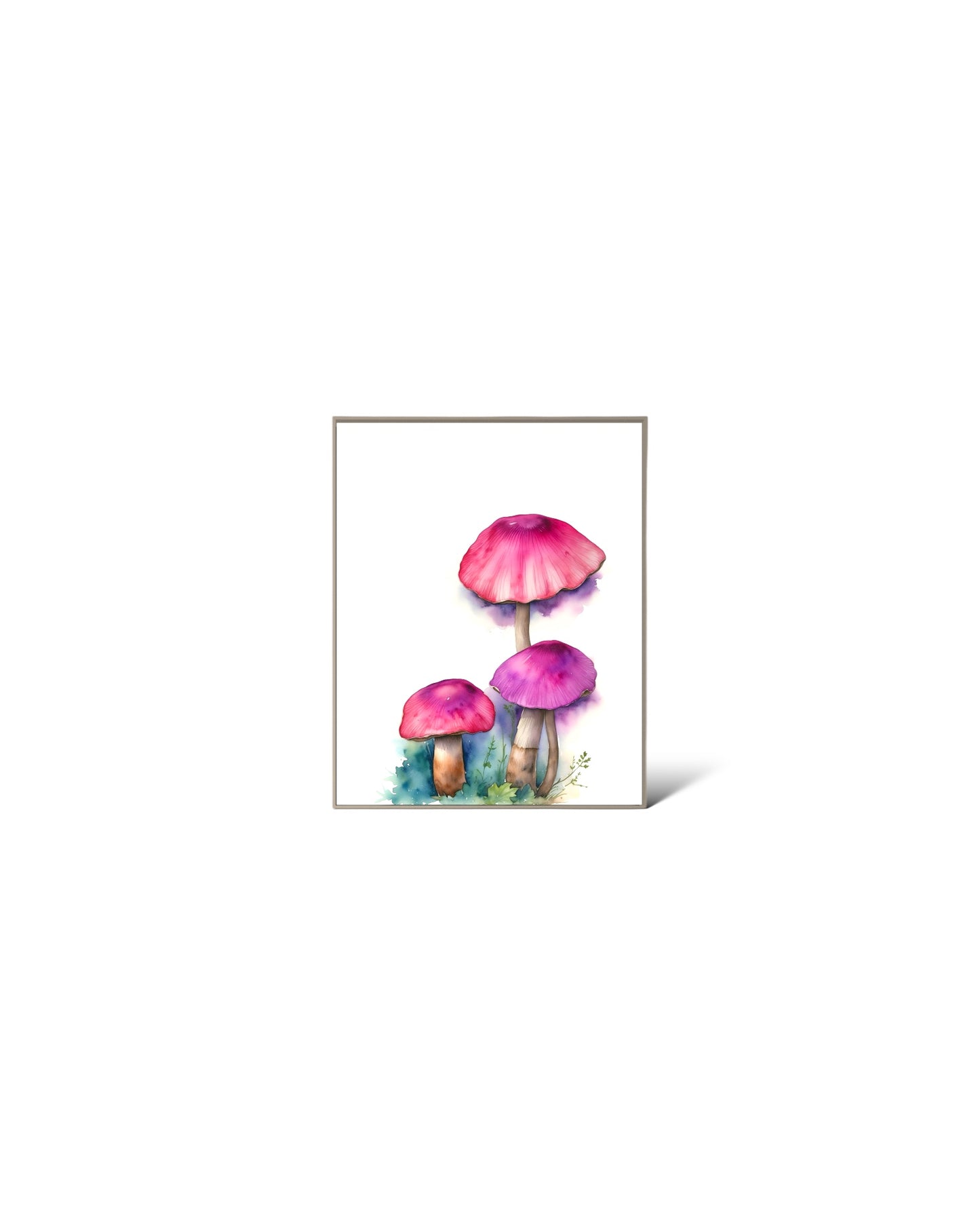 Wonderland