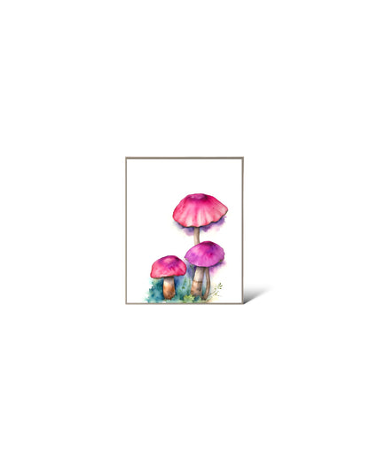 Wonderland